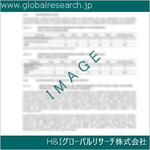 グローバルリサーチ調査資料のイメージ